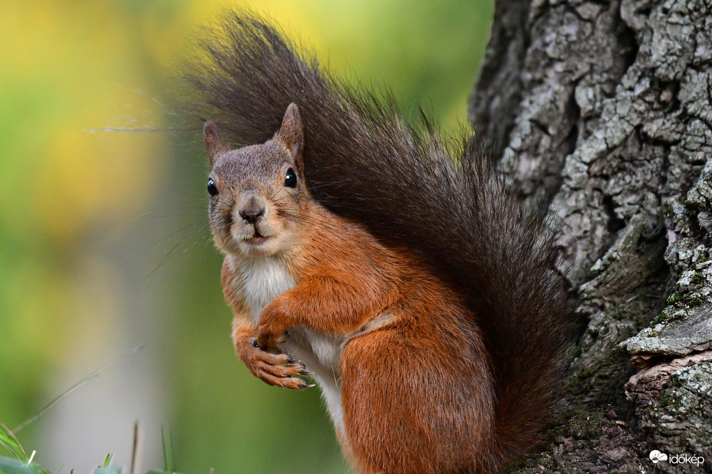 Komolyan 20 fok jön? :O