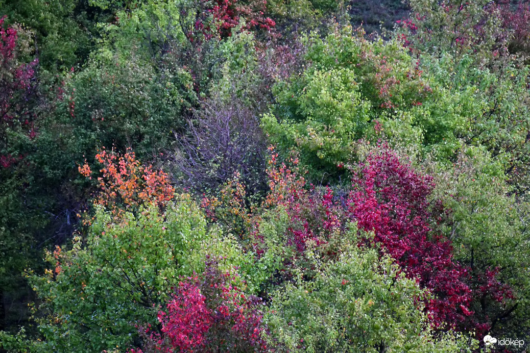 Sokszínű ősz