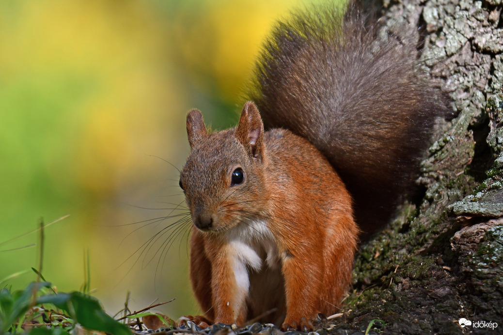 Szép napot Mindenkinek! :)