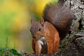 Szép napot Mindenkinek! :)