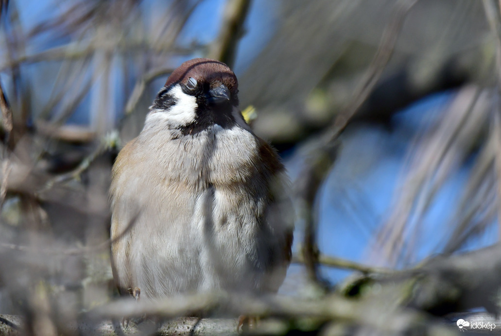 Végre süt a nap...