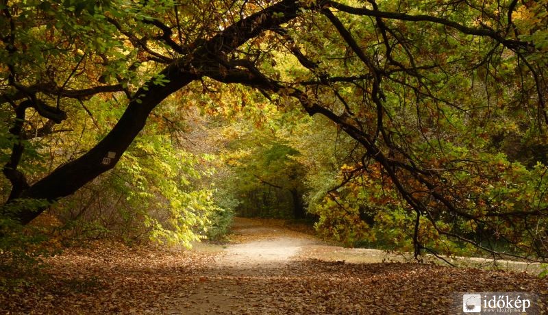 Gödöllő-Erzsébet park Október végén