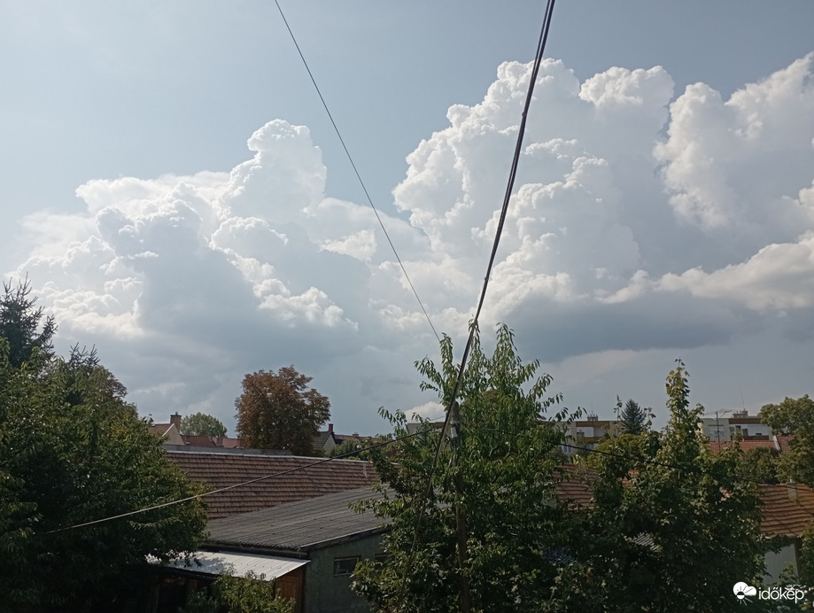 Észlelési fényképek