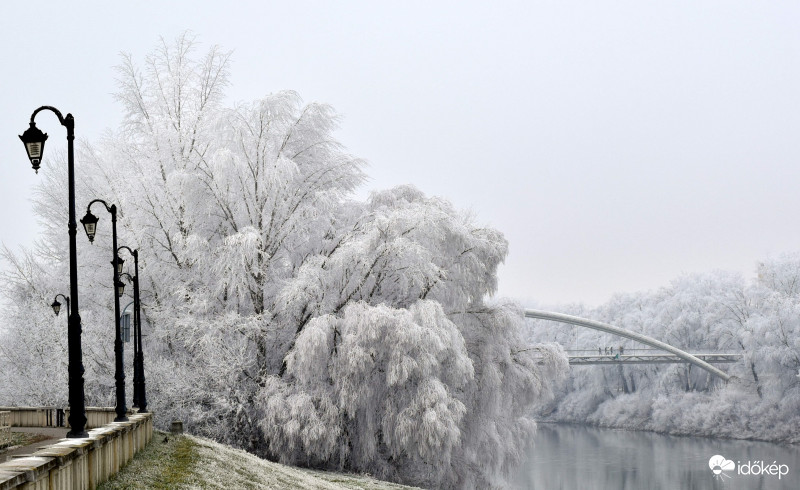 Szolnok Tiszavirághíd