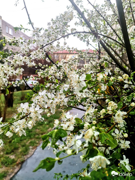 Április 1 - Miskolc