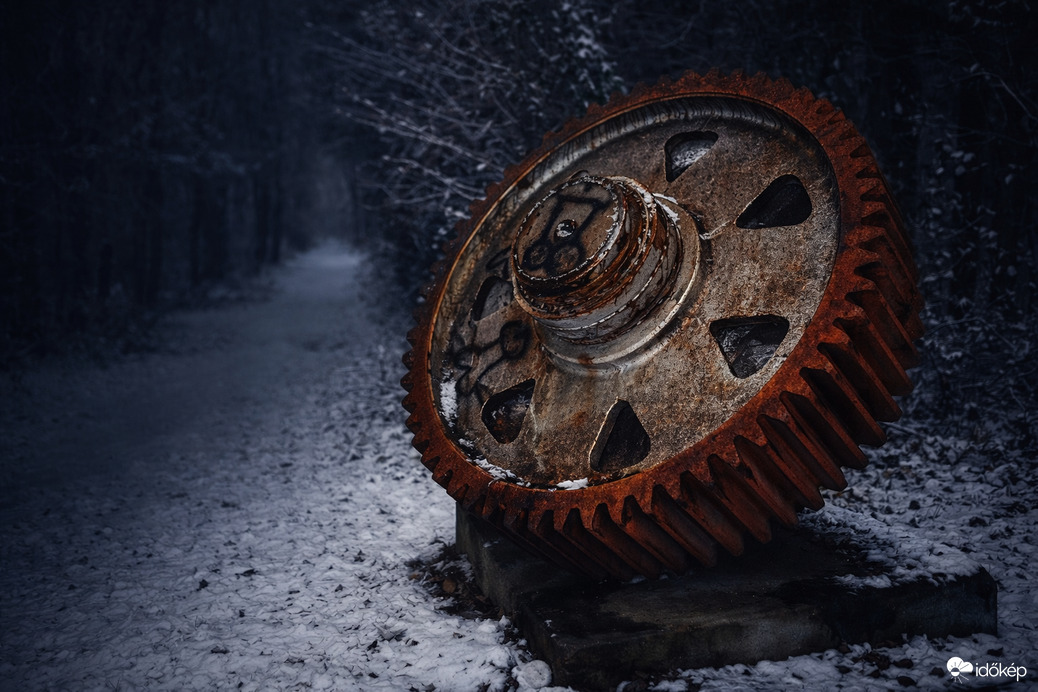 Az erdő mélyén felejtve