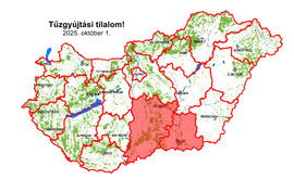 metbalazs fotója