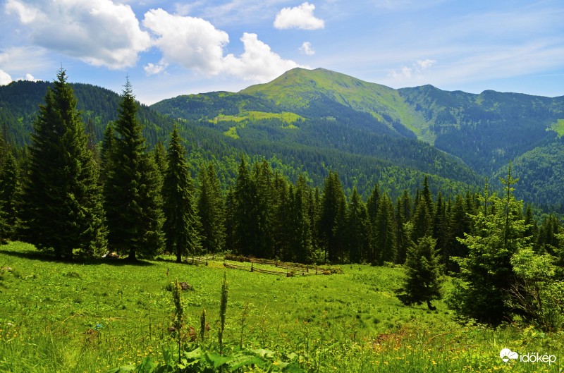 Délelőtti látkép