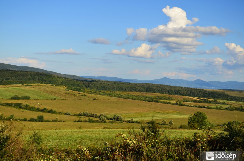 Mezők