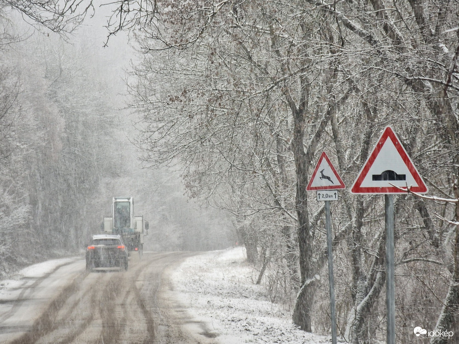 Észlelési fényképek