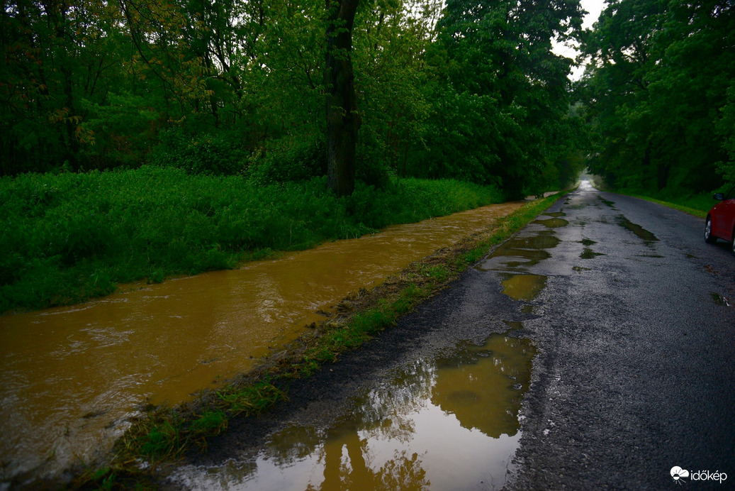 Észlelési fényképek