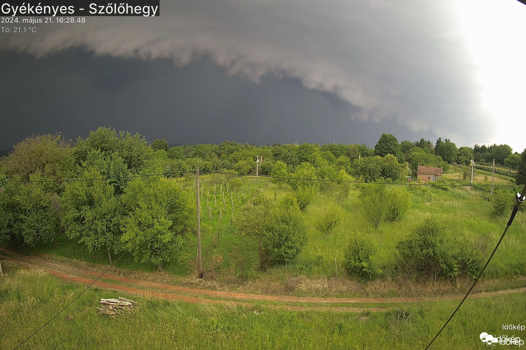 Észlelési fényképek