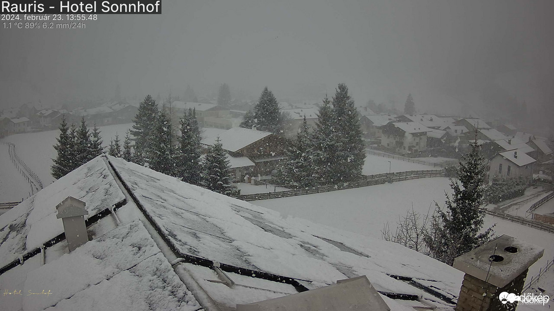 Észlelési fényképek