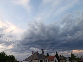 Penészlek