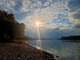átszűrődő fények