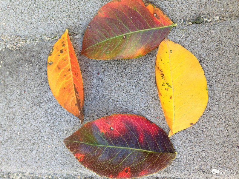 Az ősz négy oldala