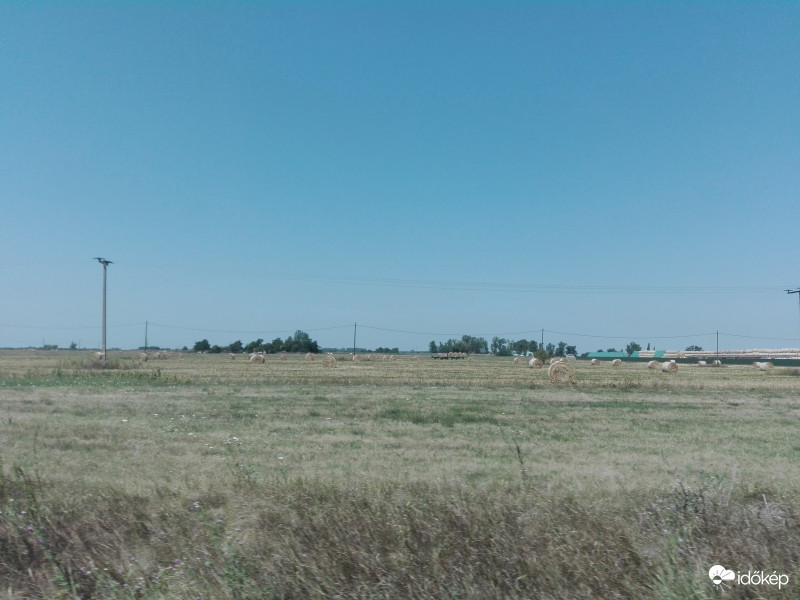 Széna : " Ebben a hőségben , leégünk " !