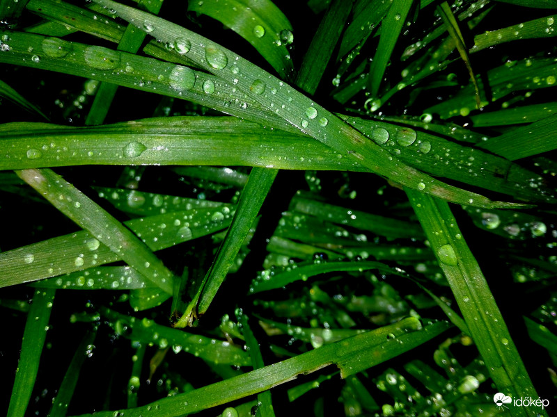 Újév éjjeli esőcseppek 