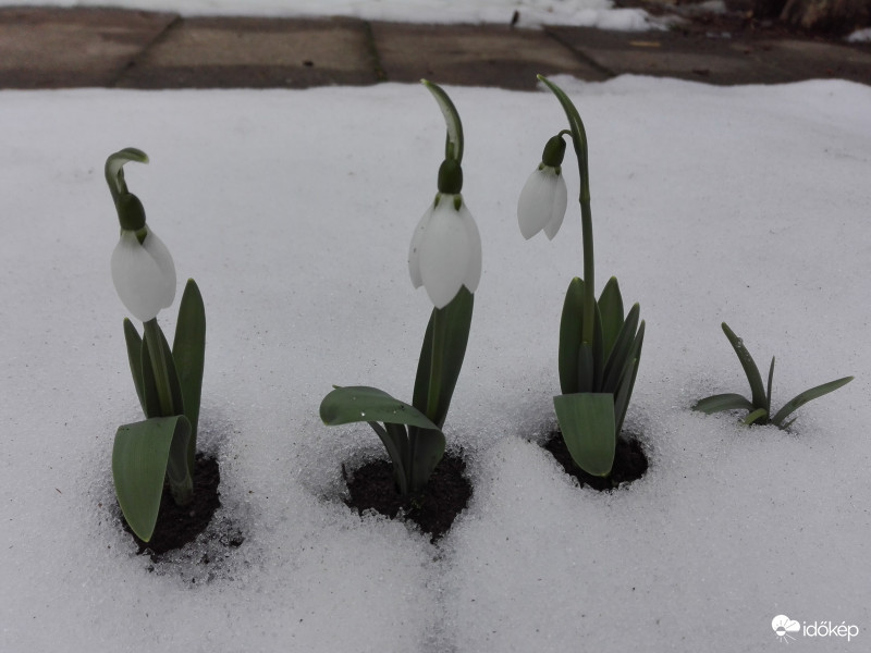 Három gyönyörűség 