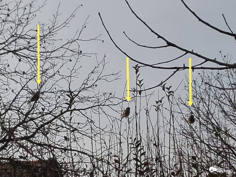 Hármas beszélgetés 