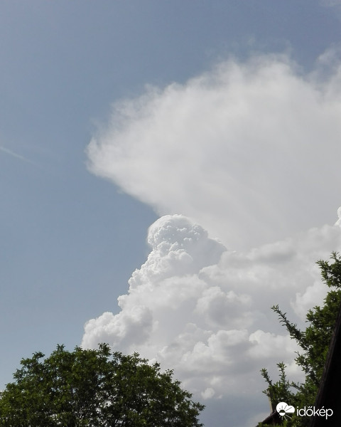 "Kinyomtuk" másodjára is a habot