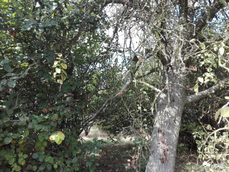 A legnyugalmasabb otthon 