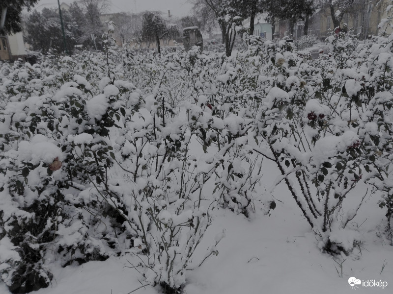 Dermesztően hideg éjszaka elé nézve