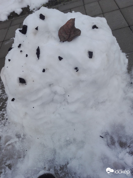 Természetbeli menü