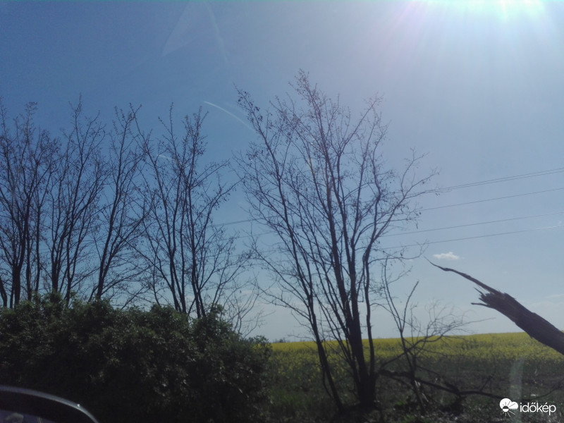 Gyors fotó, repcés háttérrel