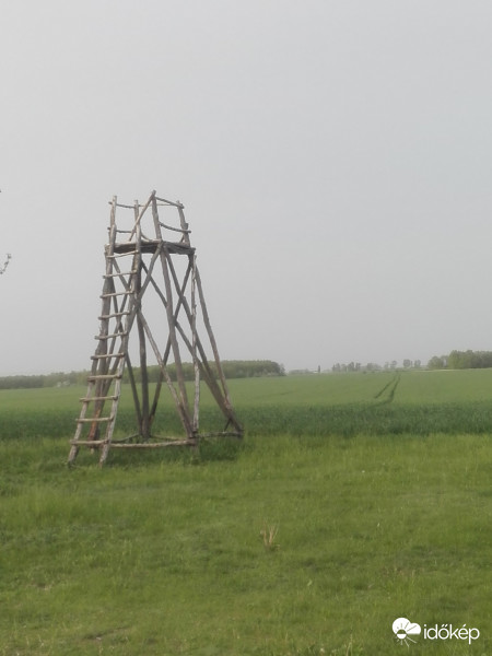 Magasles a pusztában