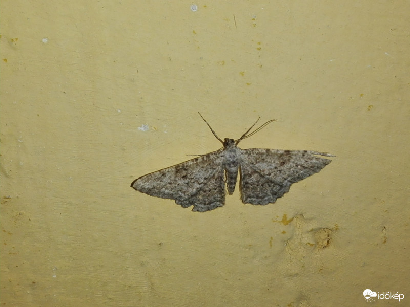 Vasárnap reggeli alvás 