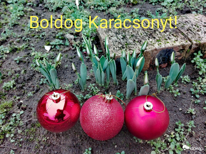 Kellemes ünnepeket! 