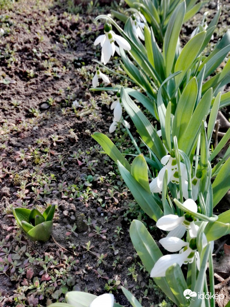 "1 az összes ellen"