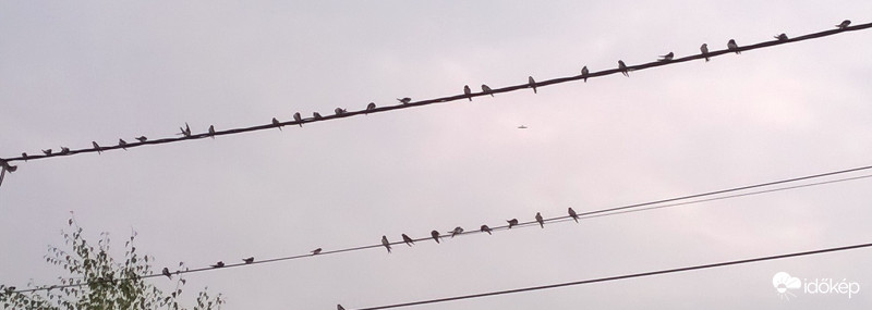 Készülődnek az útra?