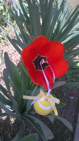 Kellemes Húsvétot !