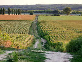 Határszemlén