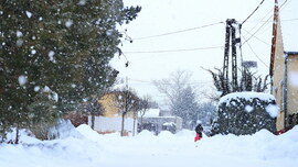 Havazik Dunaszentgyörgyön