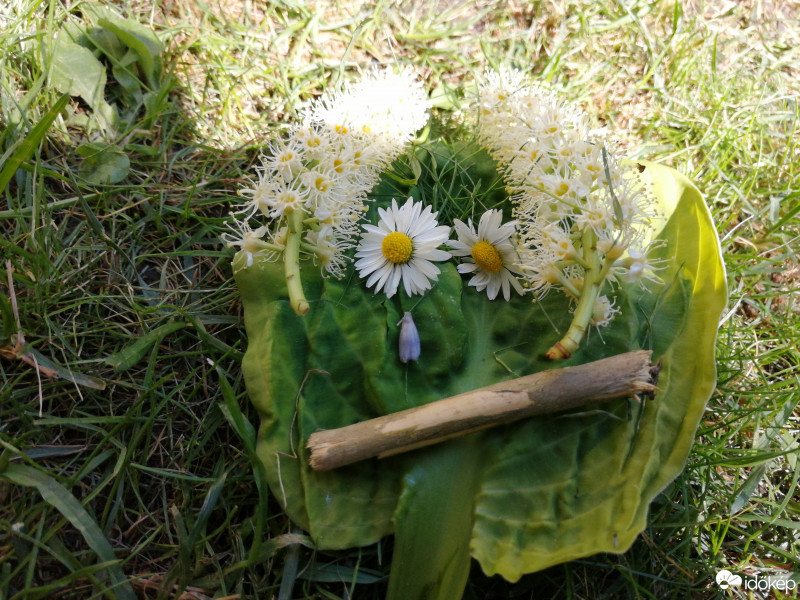 Budapest IX.ker - Ferencváros
