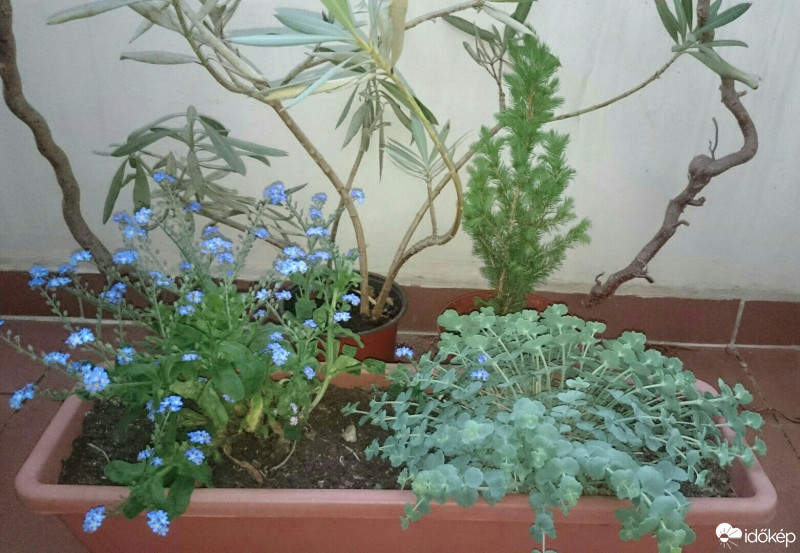 Budapest VIII.ker - Józsefváros