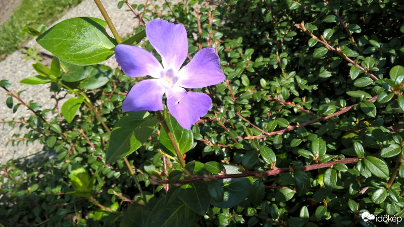 Budapest VIII.ker - Józsefváros