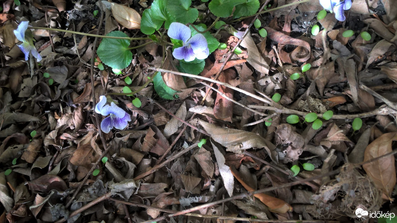 Budapest IX.ker - Ferencváros