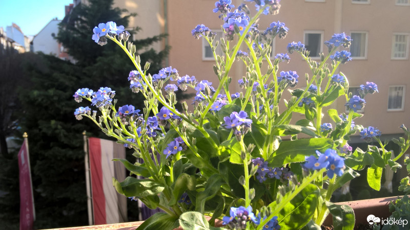 Budapest IX.ker - Ferencváros