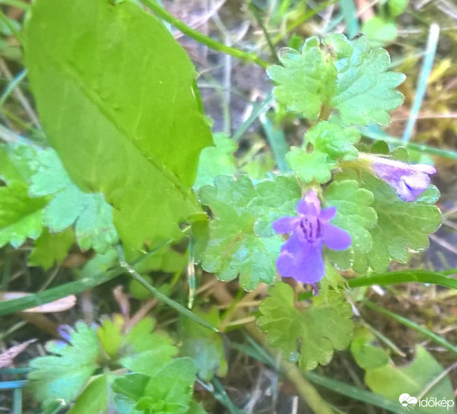 Budapest IX.ker - Ferencváros