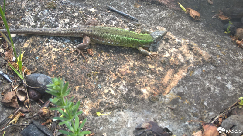 Budapest IX.ker - Ferencváros