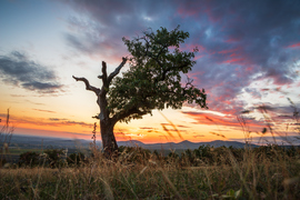Eremény-tető