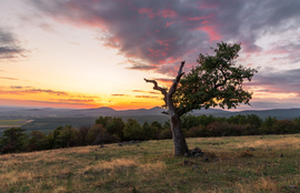 Eremény-tető
