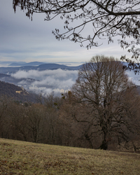 mikloslaszlo fotója