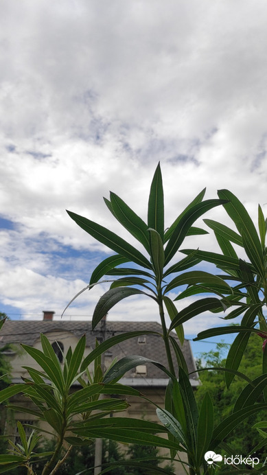 Budapest XIV.ker - Alsórákos