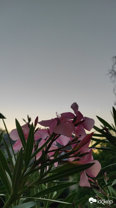 Budapest XIV.ker - Alsórákos