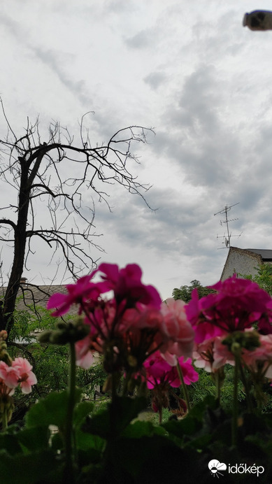 Budapest XIV.ker - Alsórákos